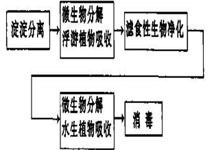 循环水养虾